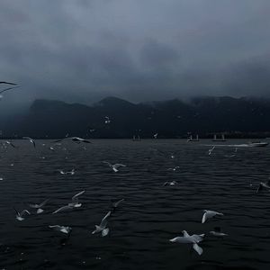 亚洲男人av资源站
